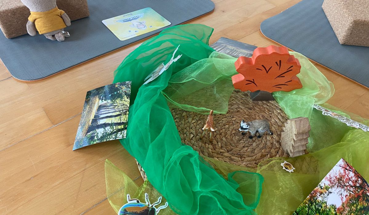 WhatsApp Image 2026-01-22 at 15.25.31